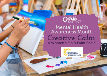 women painting together on cavases in a class